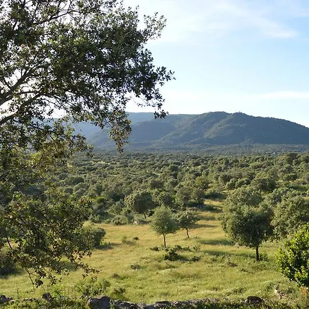 Pensionat Casa Rural Las Gamitas *