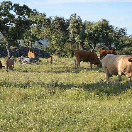 Pensionat Casa Rural Las Gamitas