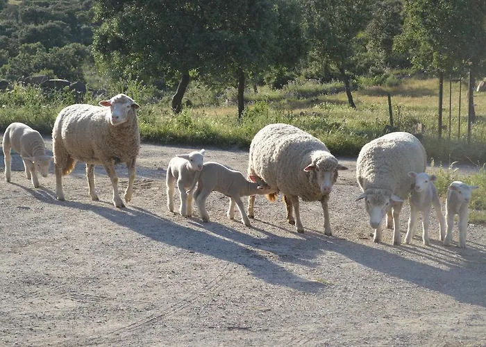 Penzion Casa Rural Las Gamitas *