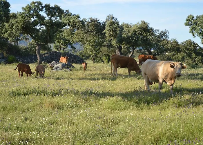 Penzion Casa Rural Las Gamitas